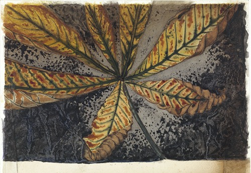 Podgoriški Vodovod poziva k racionalni porabi vode zaradi vročinskega vala