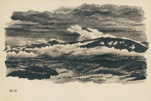 V Gbintriju policist ubil moškega, protestniki vandalizirali policijsko postajo