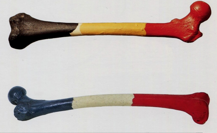 Vojvodinsko združenje novinarjev obsoja pritisk na profesorico Jeleno Kleut zaradi podpore študentom