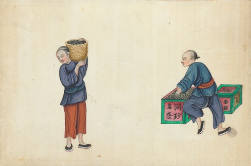 Obsežni kraji osebnih podatkov: Kako se odzvati in zaščititi pred prevarami?