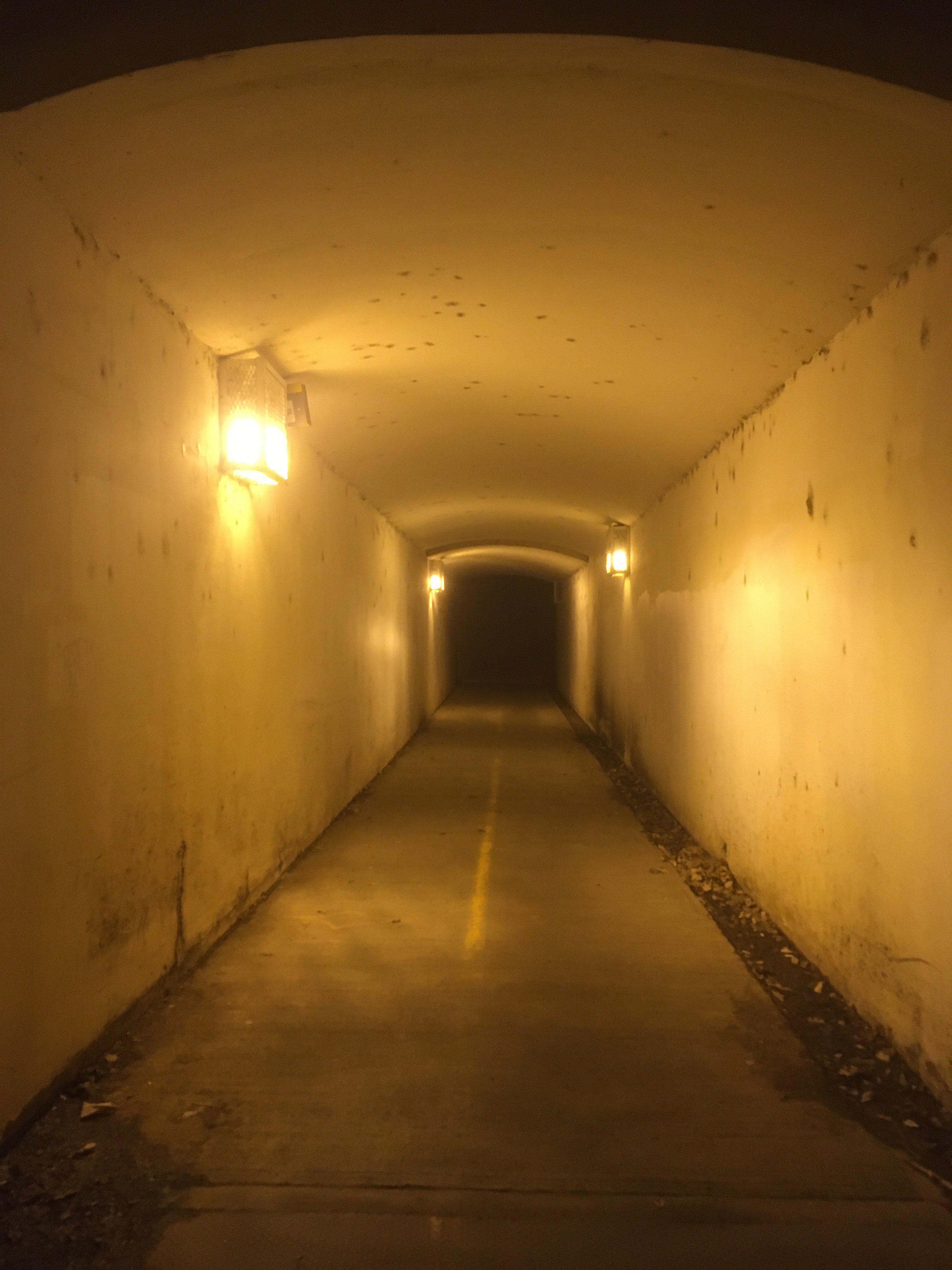 Sodišče razveljavilo odredbo za preiskavo vloge voditelja BJP Kapila Mishra v nemirih v Delhiju leta 2020