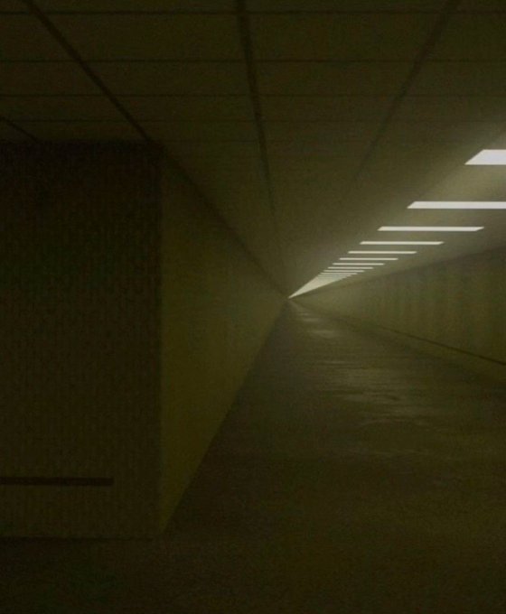 Koncertna dvorana v Sankt Peterburgu toži gledališče Nadežde Kadiševe »Zlati prstan« za 1,8 milijona rubljev