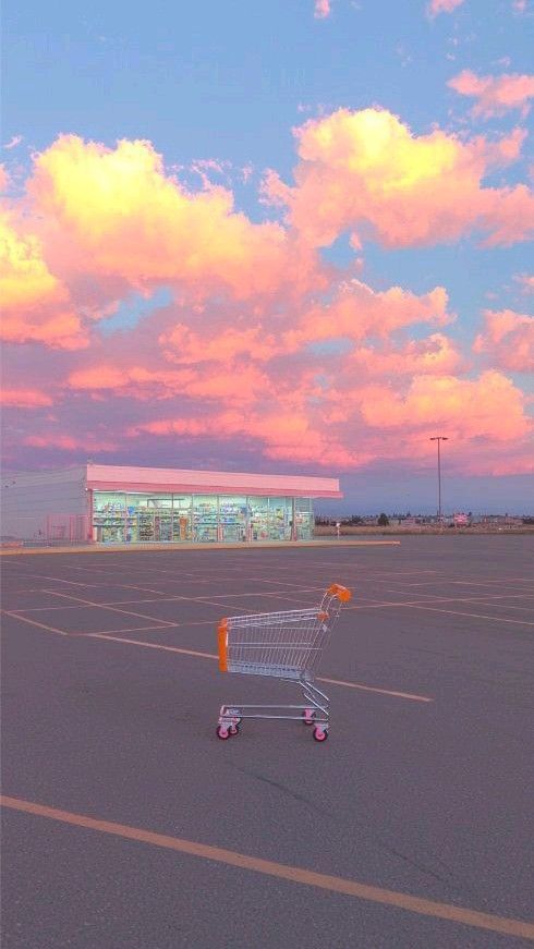 V Skadarliji aretirali brata pogrešanega člana zemunskega klana zaradi napada na policiste