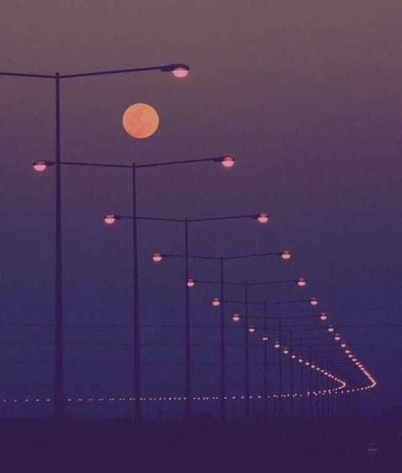 Jair Bolsonaro aretiran, ameriško veleposlaništvo kritično do brazilskega sodstva